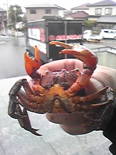 Image330.jpg